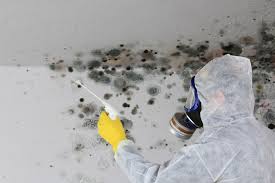 Best Crawl Space Mold Remediation  in Meron Park, CA